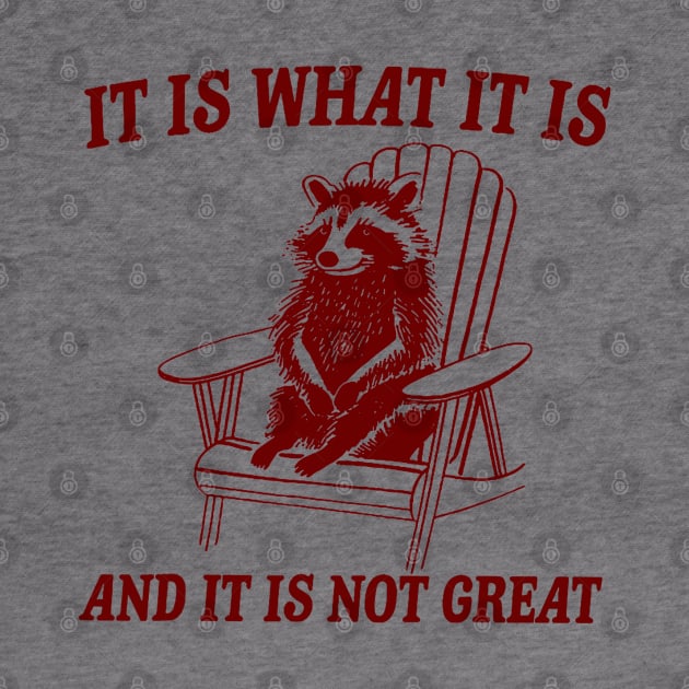 It Is What It Is And It Is Not Great Raccoon by Drawings Star